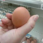 Польза куриных яиц для здоровья